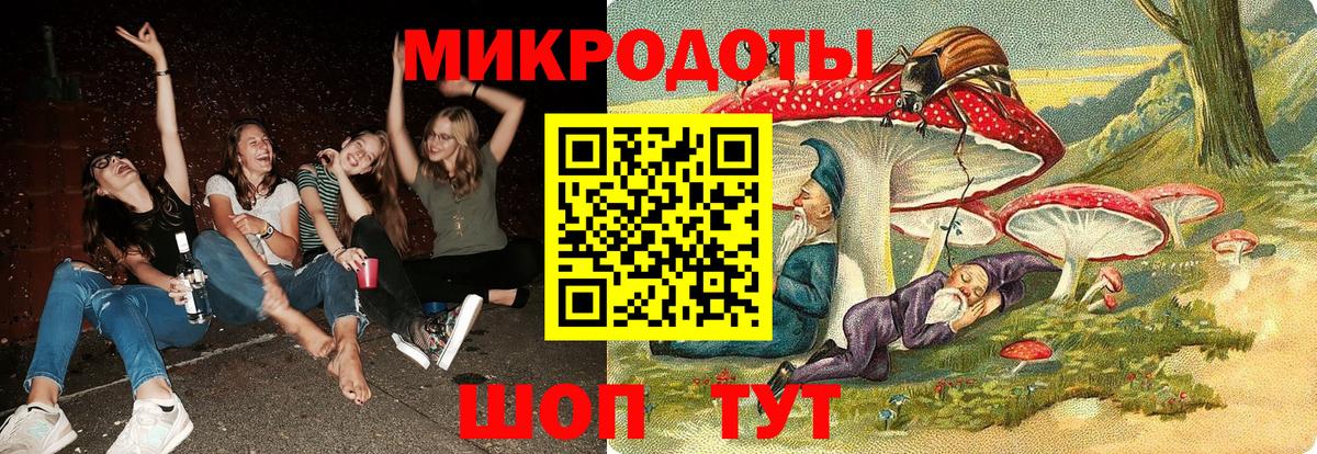 Галлюциногенные грибы прущие грибы Сосновый Бор