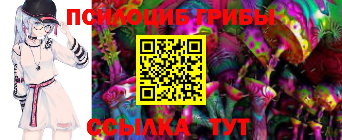 Галлюциногенные грибы мицелий  Вход с VPN  где найти   Сосновый Бор 